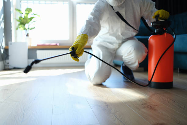 Reliable Blood Cleanup contractor in Lakeshore, CA by Trauma Clean Pros